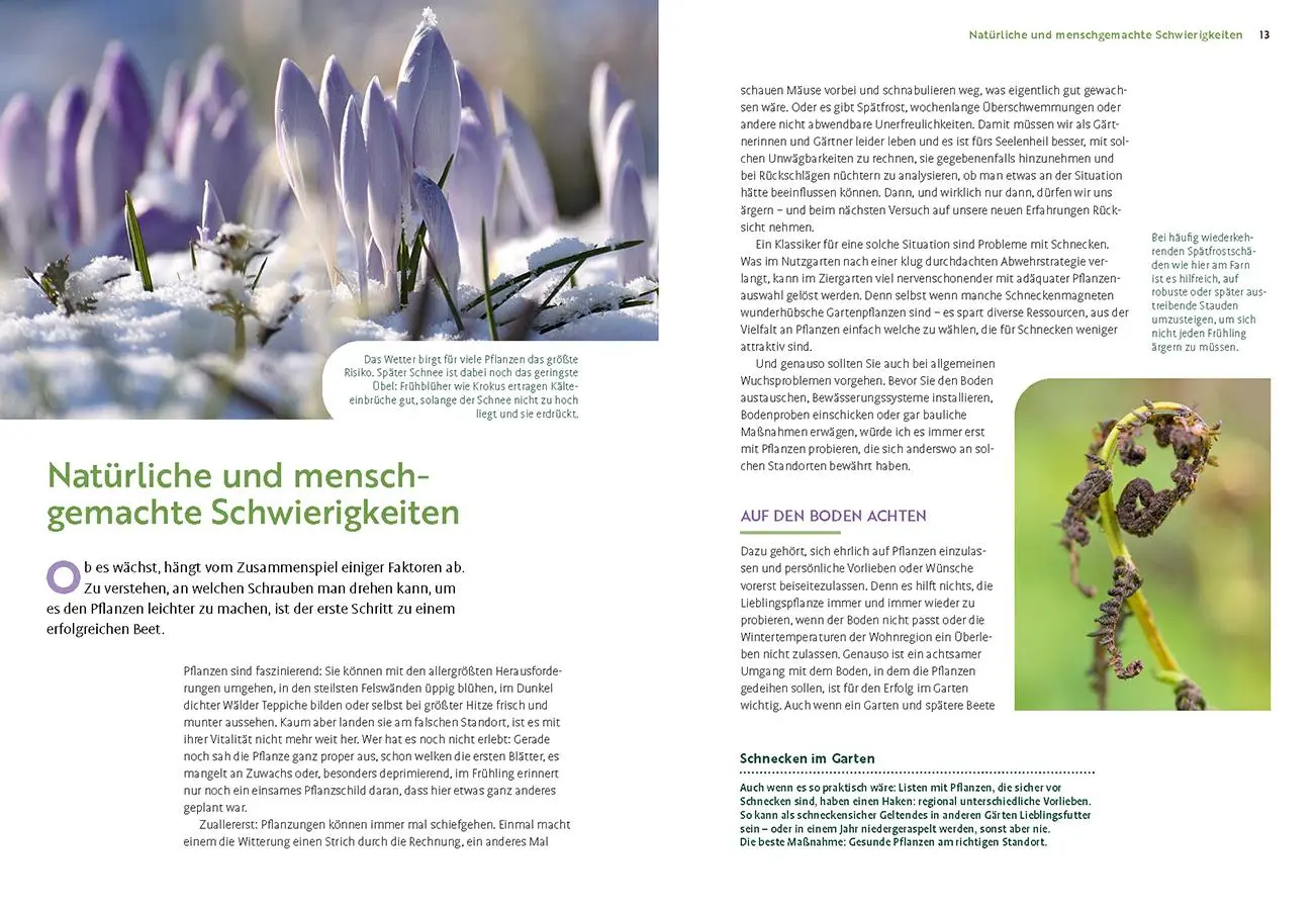 Bild: 9783818624552 | Wächst nicht gibt's nicht | Katrin Lugerbauer | Buch | 144 S. | 2025