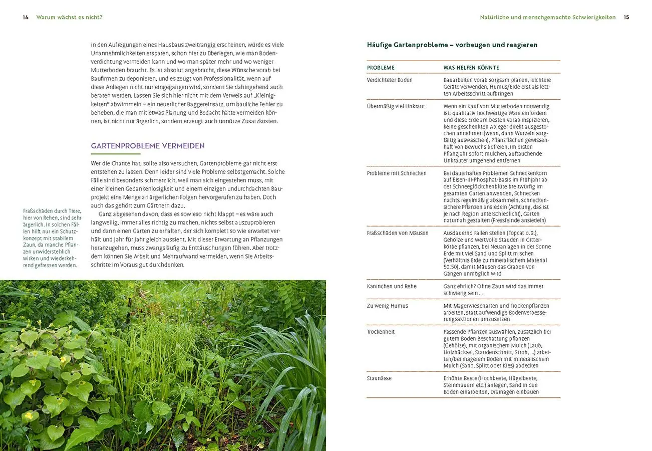 Bild: 9783818624552 | Wächst nicht gibt's nicht | Katrin Lugerbauer | Buch | 144 S. | 2025