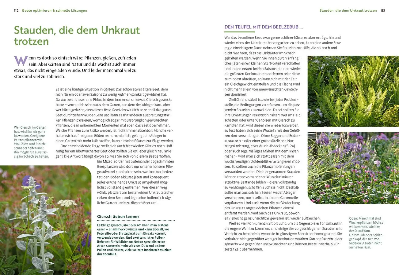 Bild: 9783818624552 | Wächst nicht gibt's nicht | Katrin Lugerbauer | Buch | 144 S. | 2025