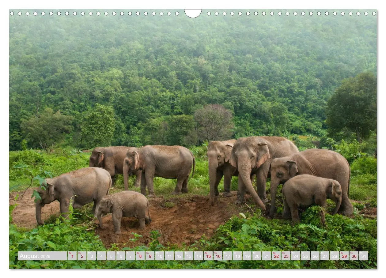 Bild: 9783457644652 | THAILAND - Land des Lächelns (Wandkalender 2026 DIN A3 quer),...