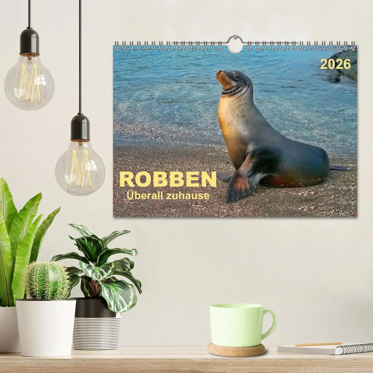 Bild: 9783516044652 | Robben - überall zuhause (Wandkalender 2026 DIN A4 quer), CALVENDO...
