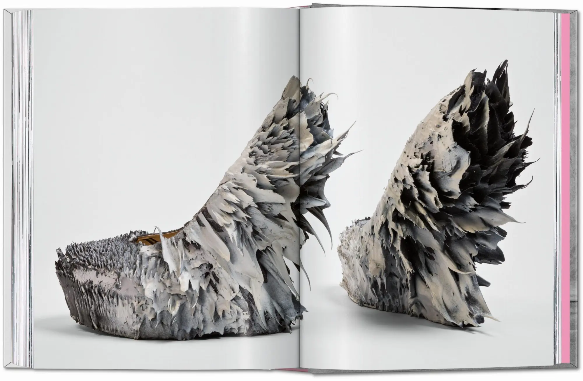 Bild: 9783754404652 | Shoes A-Z. 45th Ed. | Daphne Guinness | Buch | 45th Edition | 512 S.