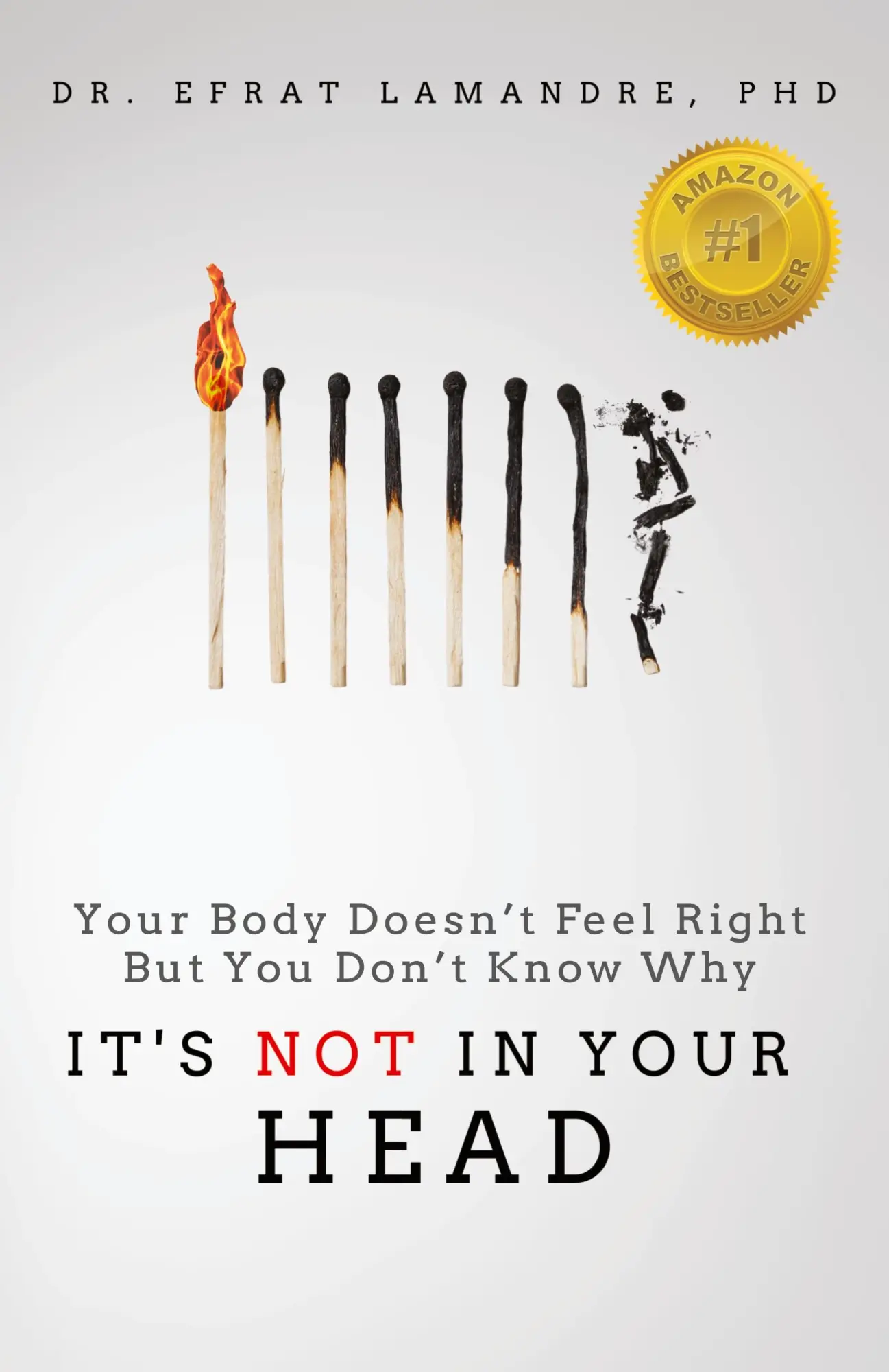 Cover: 9798985974652 | It's NOT In Your Head | Efrat Lamandre | Taschenbuch | Englisch | 2022