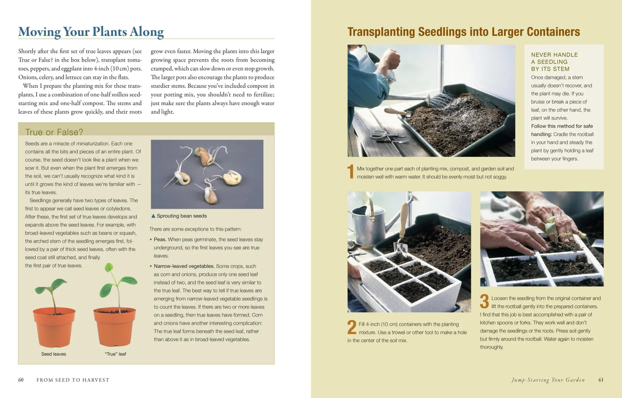 Bild: 9781603424752 | The Vegetable Gardener's Bible, 2nd Edition | Edward C. Smith | Buch