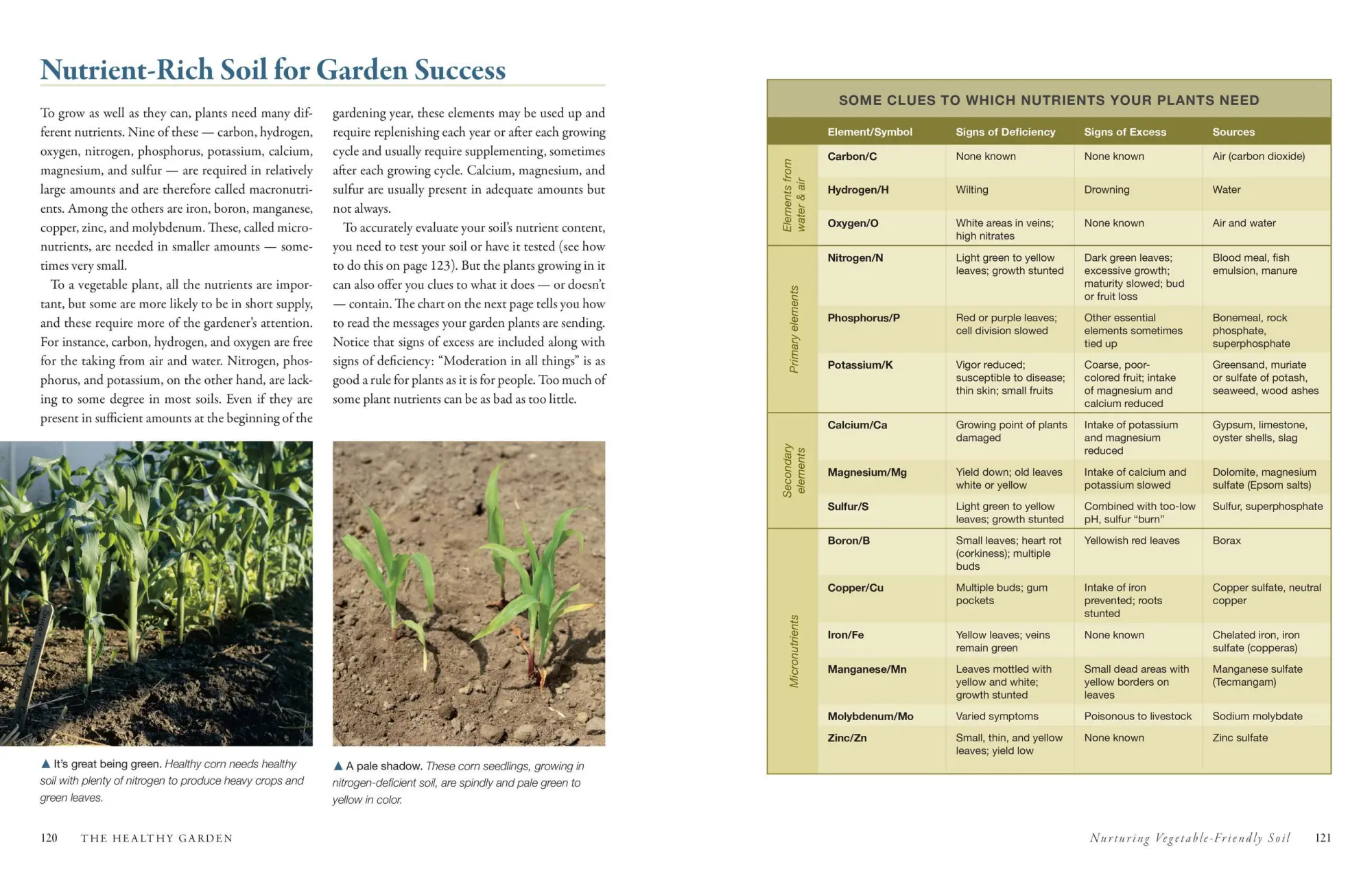 Bild: 9781603424752 | The Vegetable Gardener's Bible, 2nd Edition | Edward C. Smith | Buch