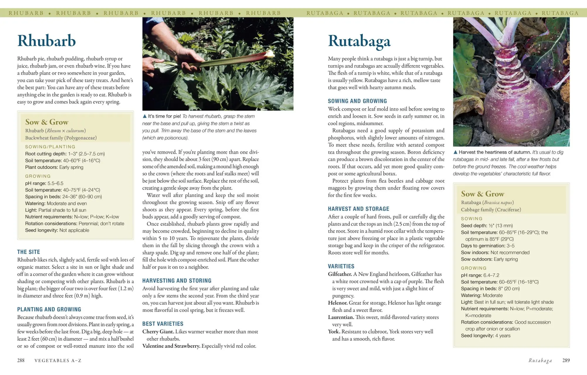 Bild: 9781603424752 | The Vegetable Gardener's Bible, 2nd Edition | Edward C. Smith | Buch