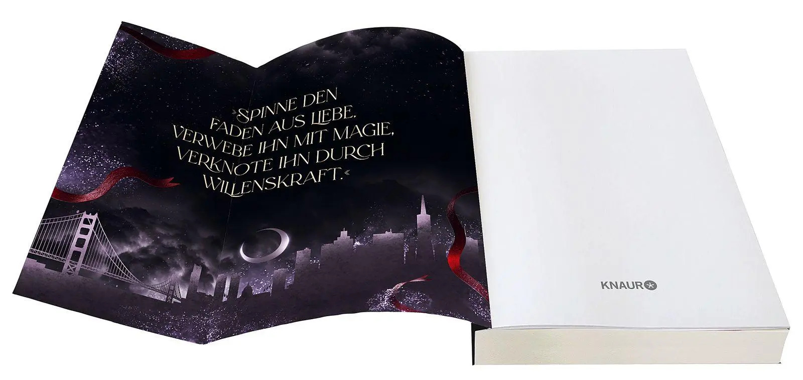 Bild: 9783426564752 | Cage of the Moon | Roman Queere Romantasy mit Werwölfen und Vampiren