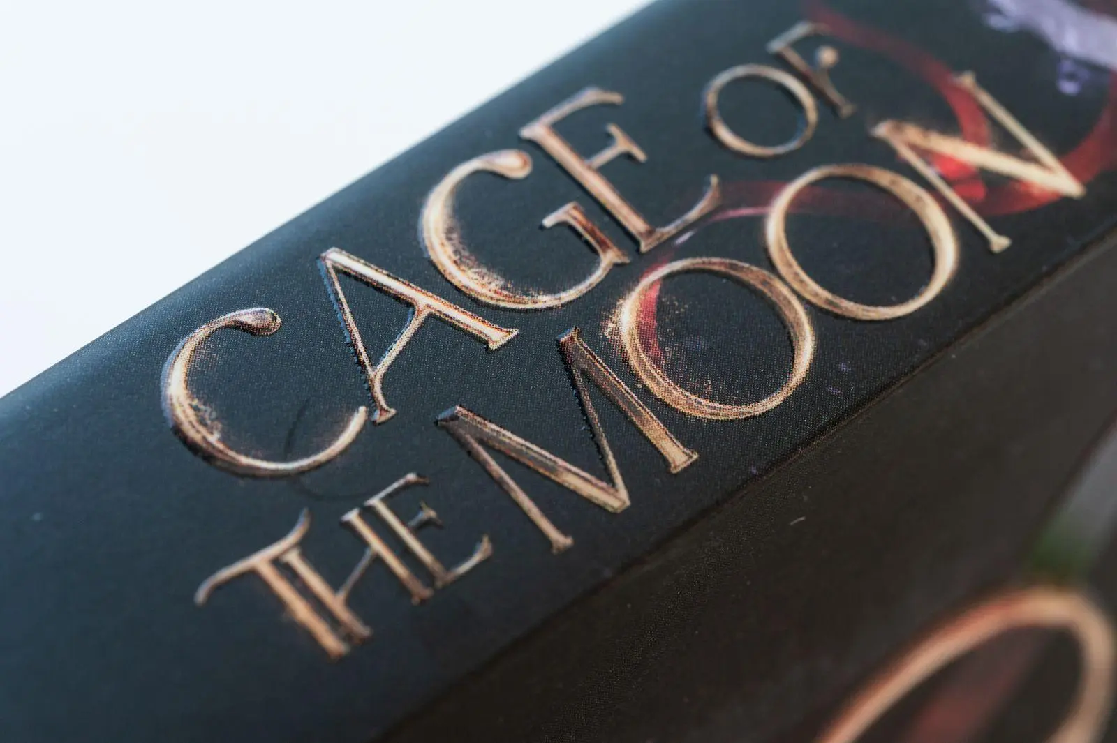 Bild: 9783426564752 | Cage of the Moon | Roman Queere Romantasy mit Werwölfen und Vampiren