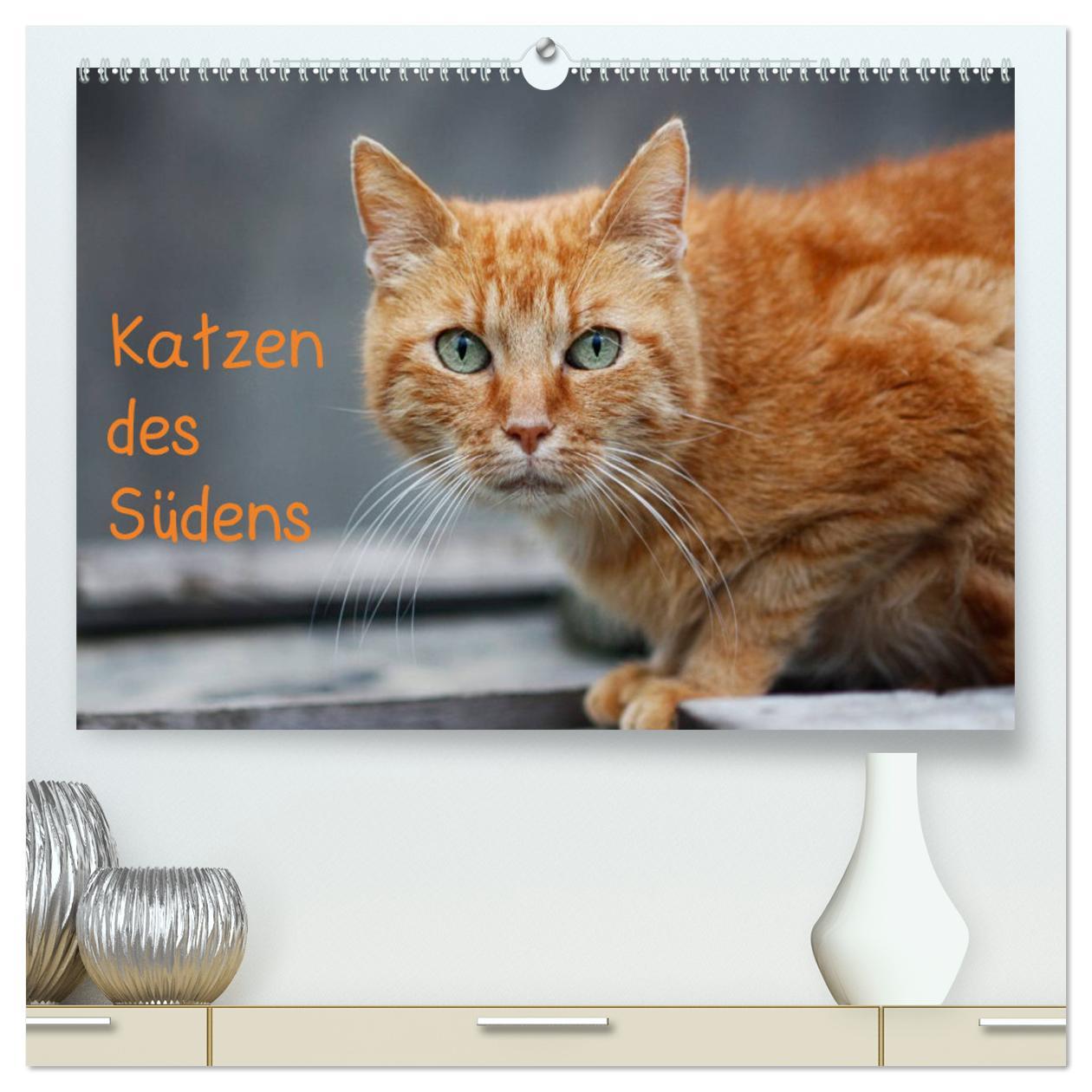 Cover: 9783435784752 | Katzen des Südens (hochwertiger Premium Wandkalender 2025 DIN A2...