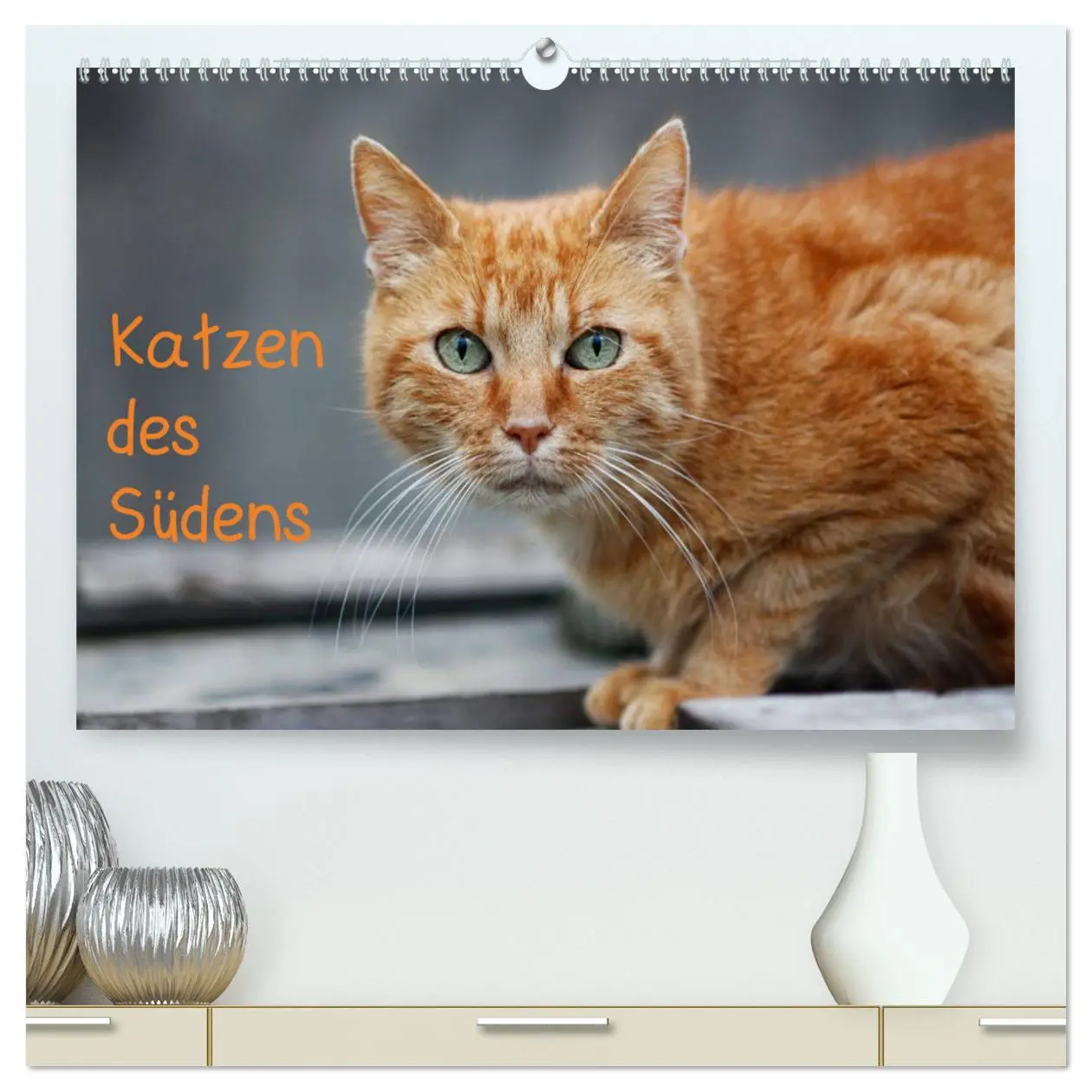 Cover: 9783435784752 | Katzen des Südens (hochwertiger Premium Wandkalender 2025 DIN A2...
