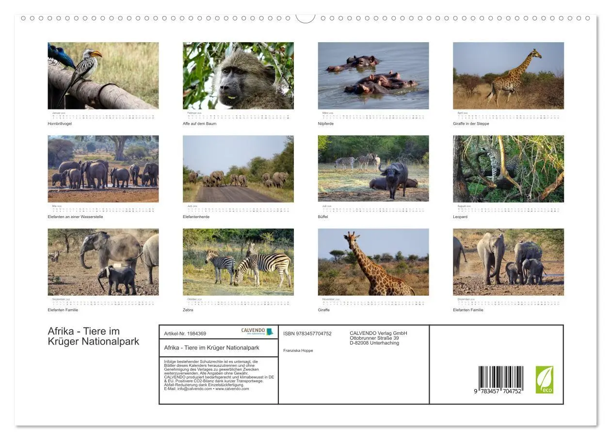 Bild: 9783457704752 | Afrika - Tiere im Krüger Nationalpark (hochwertiger Premium...