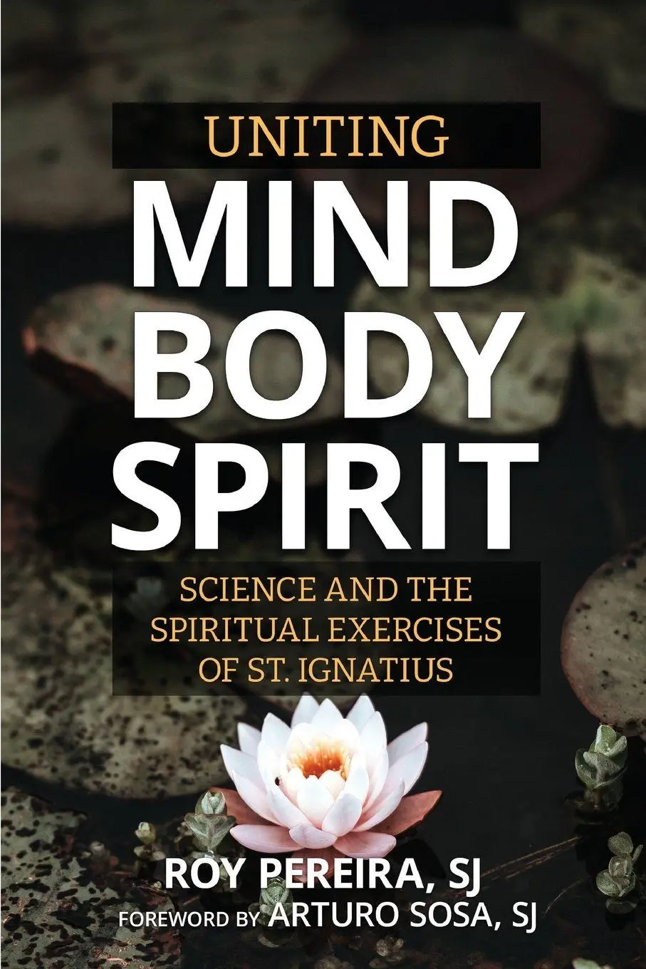 Cover: 9780809154852 | Uniting Mind, Body, Spirit | Roy Pereira | Taschenbuch | Englisch