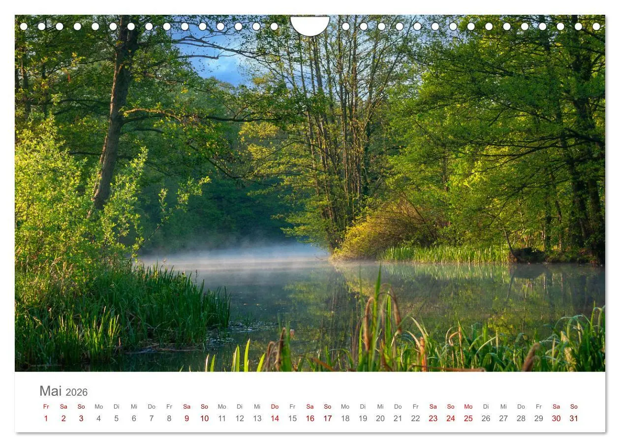 Bild: 9783457314852 | Spreewald - Ein Naturparadies (Wandkalender 2026 DIN A4 quer),...