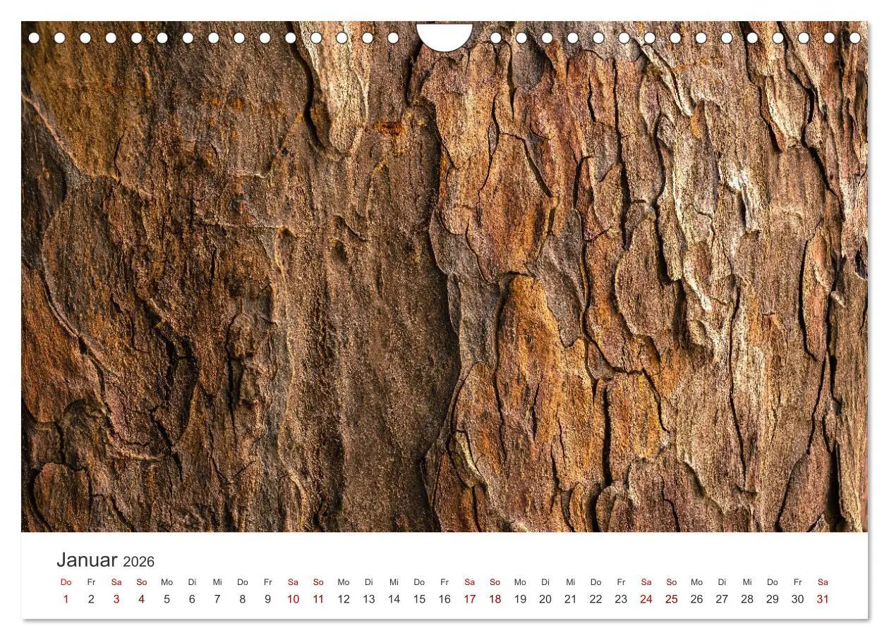 Bild: 9783457554852 | ZEN - Eine Reise zu sich selbst (Wandkalender 2026 DIN A4 quer),...