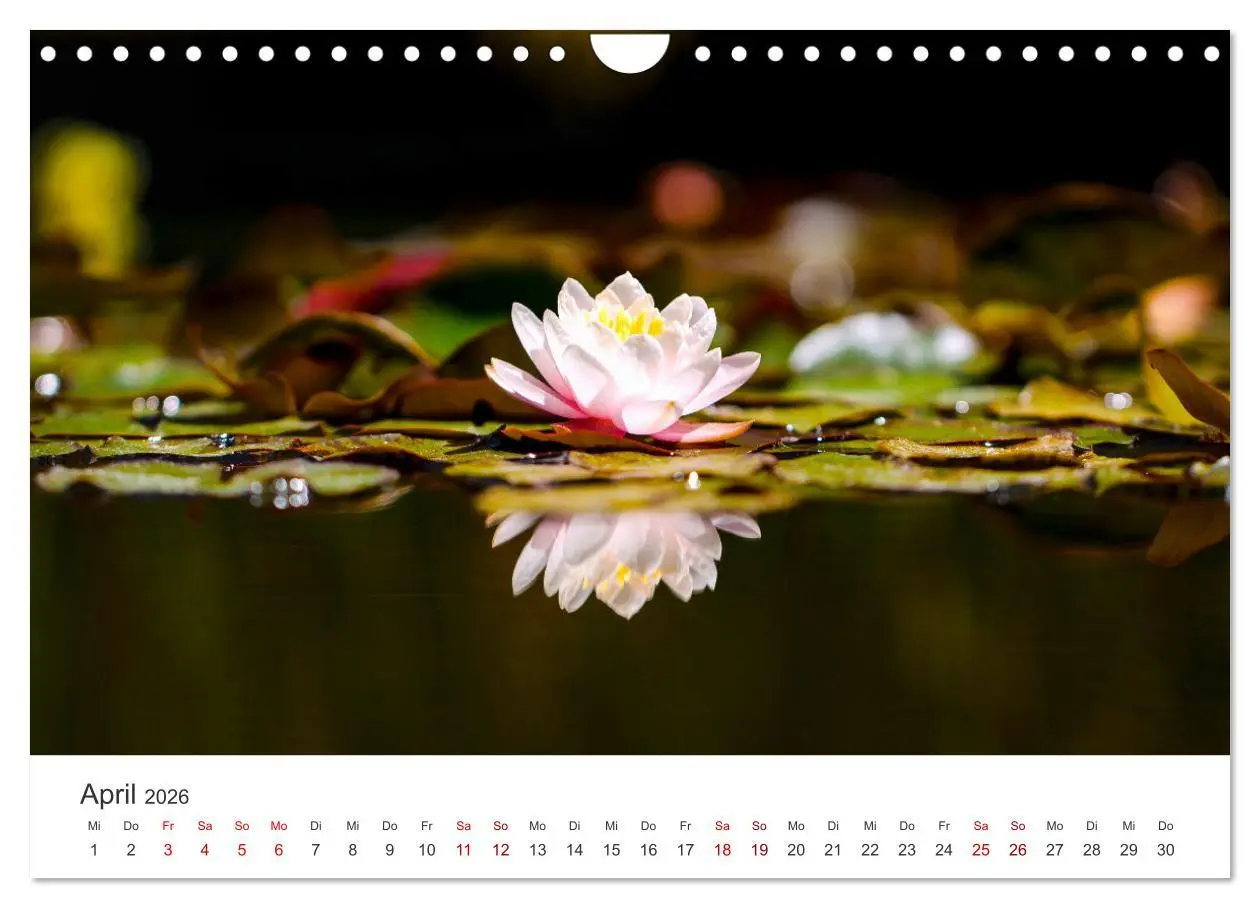 Bild: 9783457554852 | ZEN - Eine Reise zu sich selbst (Wandkalender 2026 DIN A4 quer),...
