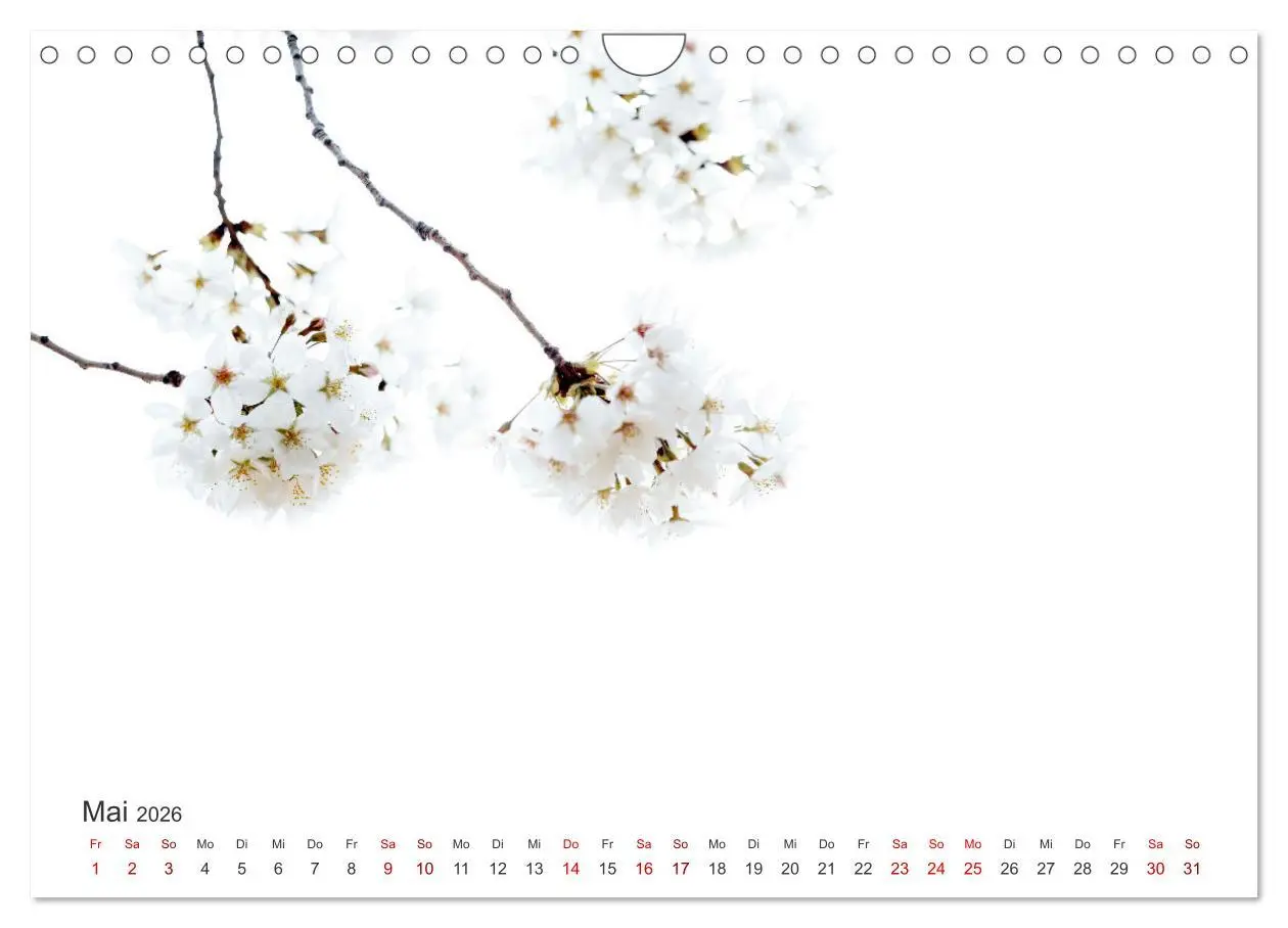Bild: 9783457554852 | ZEN - Eine Reise zu sich selbst (Wandkalender 2026 DIN A4 quer),...