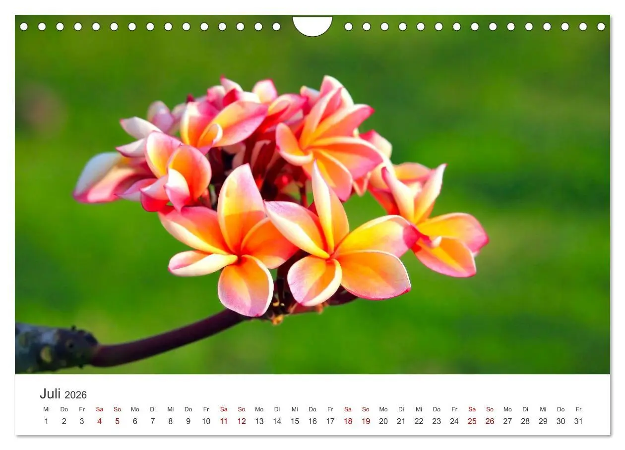 Bild: 9783457554852 | ZEN - Eine Reise zu sich selbst (Wandkalender 2026 DIN A4 quer),...