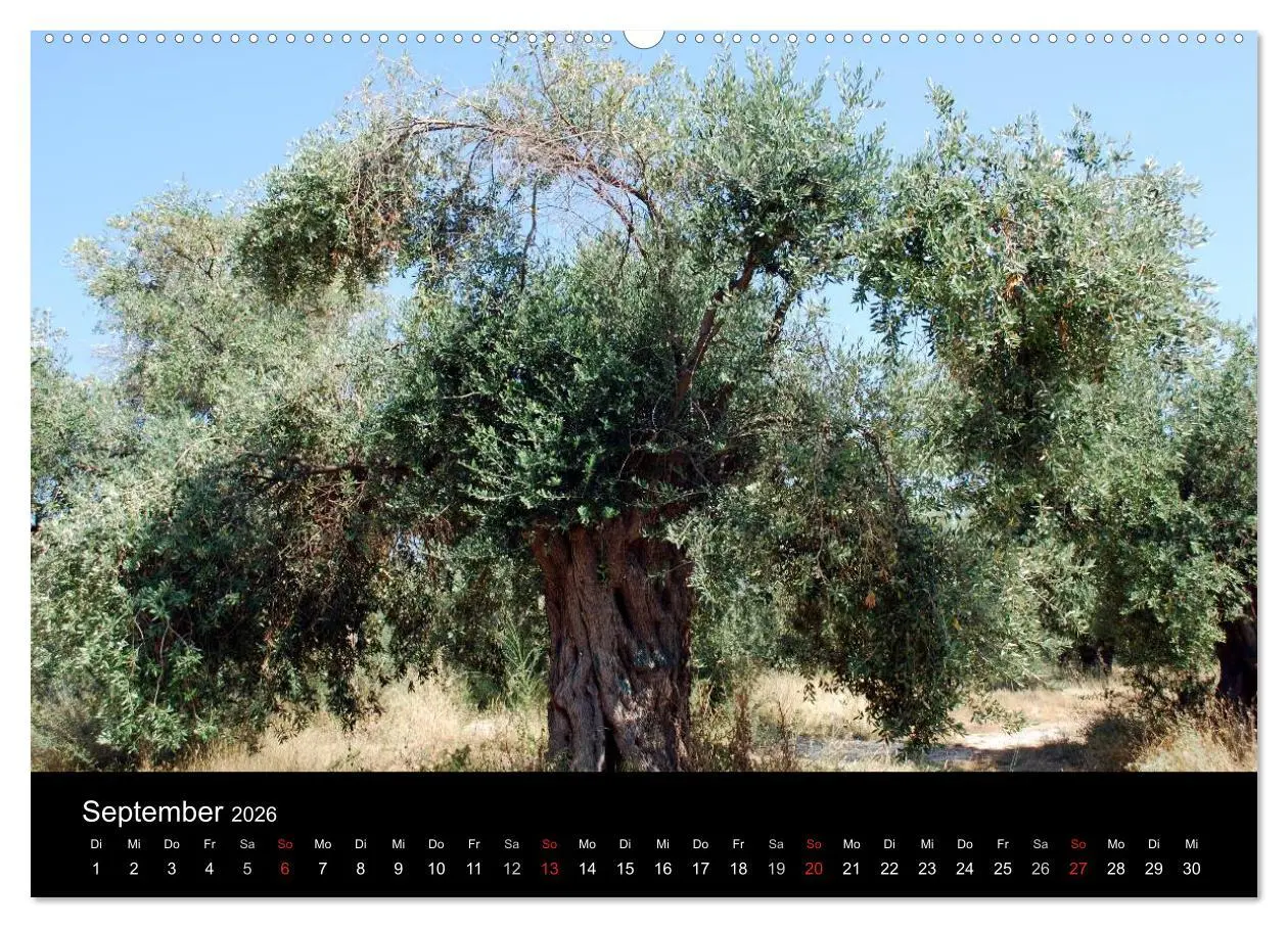 Bild: 9783516194852 | Griechenland - Insel Thassos (Wandkalender 2026 DIN A2 quer),...
