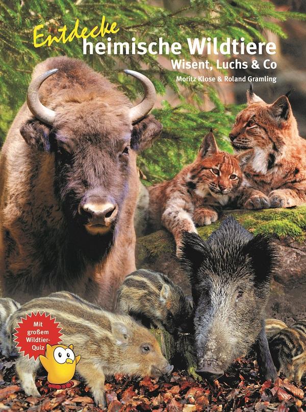 Cover: 9783866594852 | Entdecke heimische Wildtiere | Wiesent, Luchs &amp; Co | Klose (u. a.)