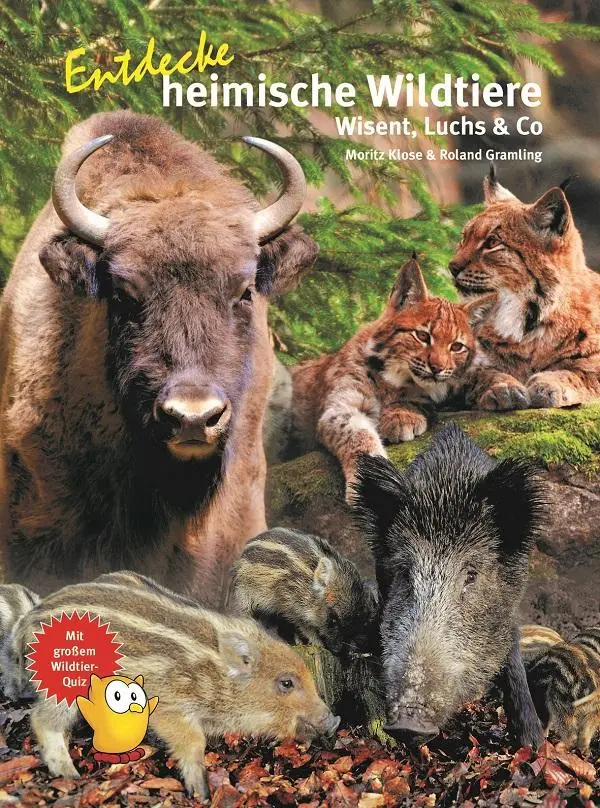 Cover: 9783866594852 | Entdecke heimische Wildtiere | Wiesent, Luchs &amp; Co | Klose (u. a.)