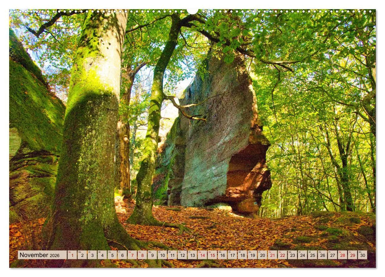 Bild: 9783457854952 | Vogesen - wunderschön (Wandkalender 2026 DIN A2 quer), CALVENDO...
