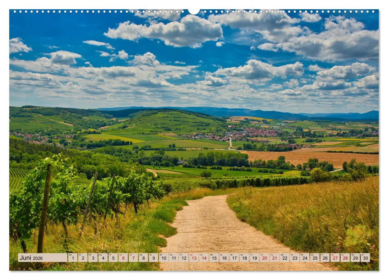 Bild: 9783457854952 | Vogesen - wunderschön (Wandkalender 2026 DIN A2 quer), CALVENDO...