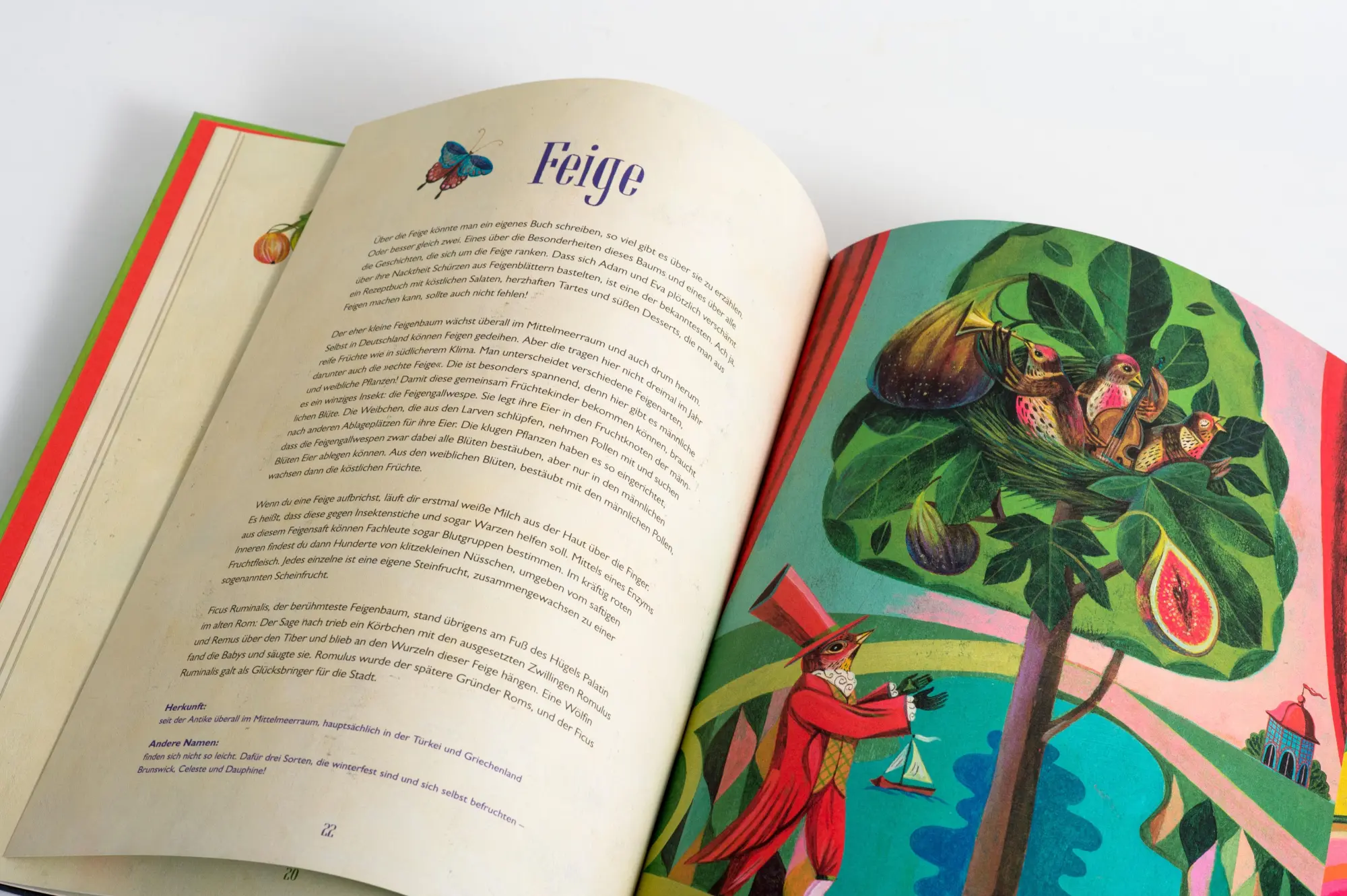 Bild: 9783791375052 | Olaf Hajeks fantastische Früchte | Annette Roeder (u. a.) | Buch