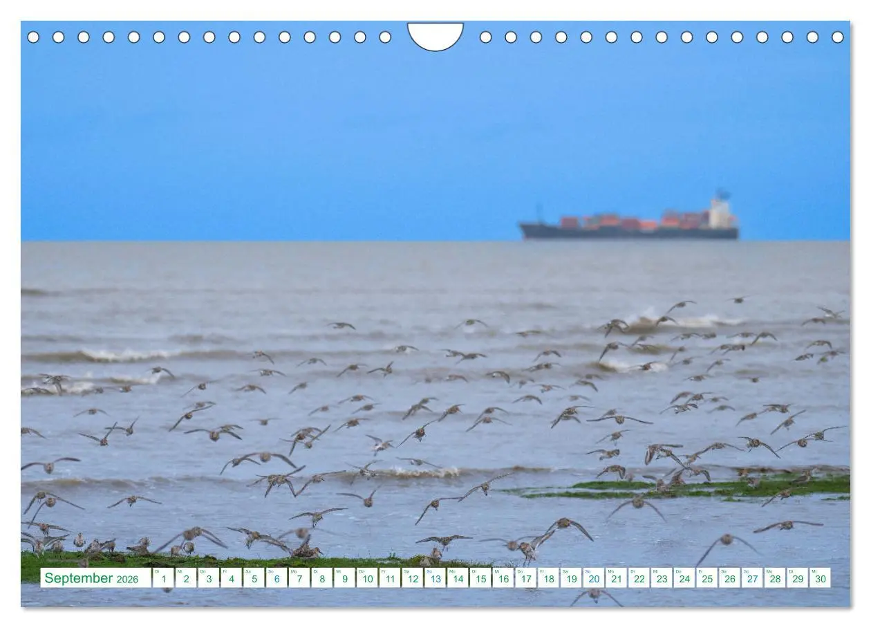 Bild: 9783457355152 | Schillig und Horumersiel - Im Wangerland unterwegs (Wandkalender...