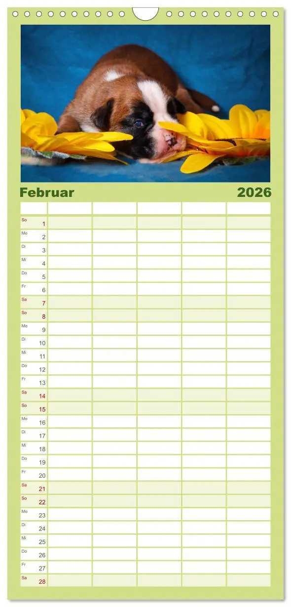 Bild: 9783516515152 | Familienplaner 2026 - Wenn ich groß bin werd' ich Boxer mit 5...