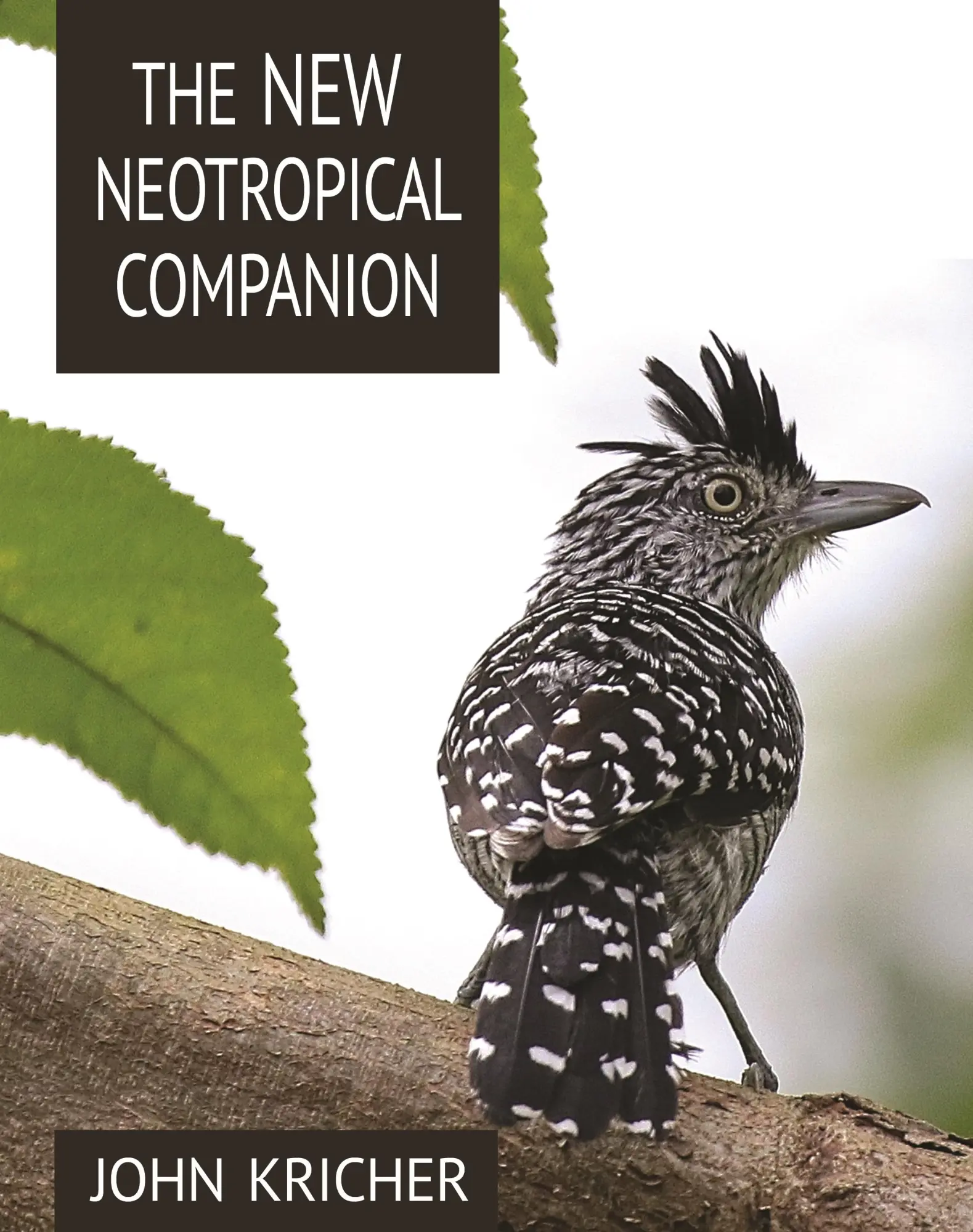 Cover: 9780691115252 | The New Neotropical Companion | John C Kricher | Taschenbuch | 2017
