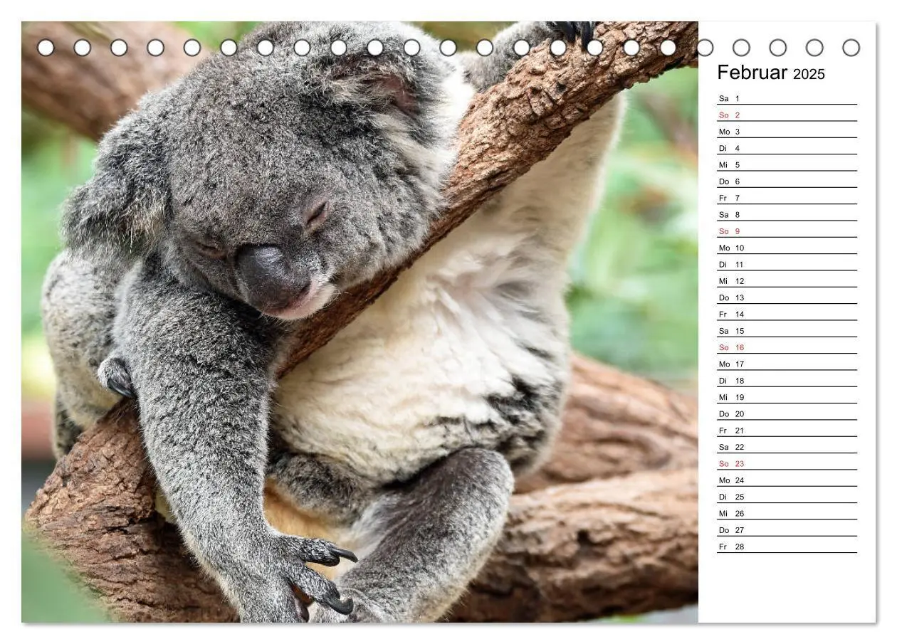 Bild: 9783435185252 | Das schöne Australien (Tischkalender 2025 DIN A5 quer), CALVENDO...