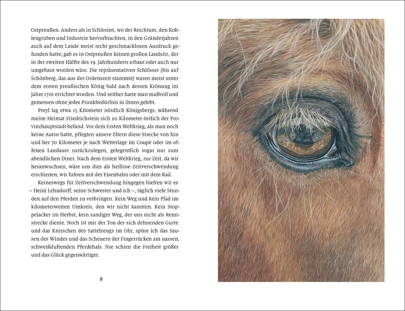 Bild: 9783458195252 | 'Das Glück dieser Erde' | Marie Bernhard | Buch | Insel-Bücherei