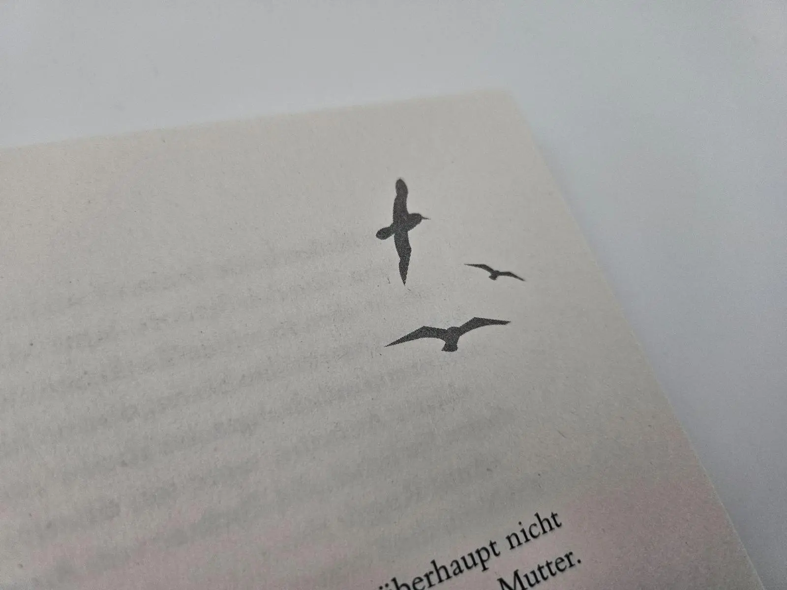 Bild: 9783492065252 | Traum vom besseren Leben | Gaby Hauptmann | Taschenbuch | 376 S.