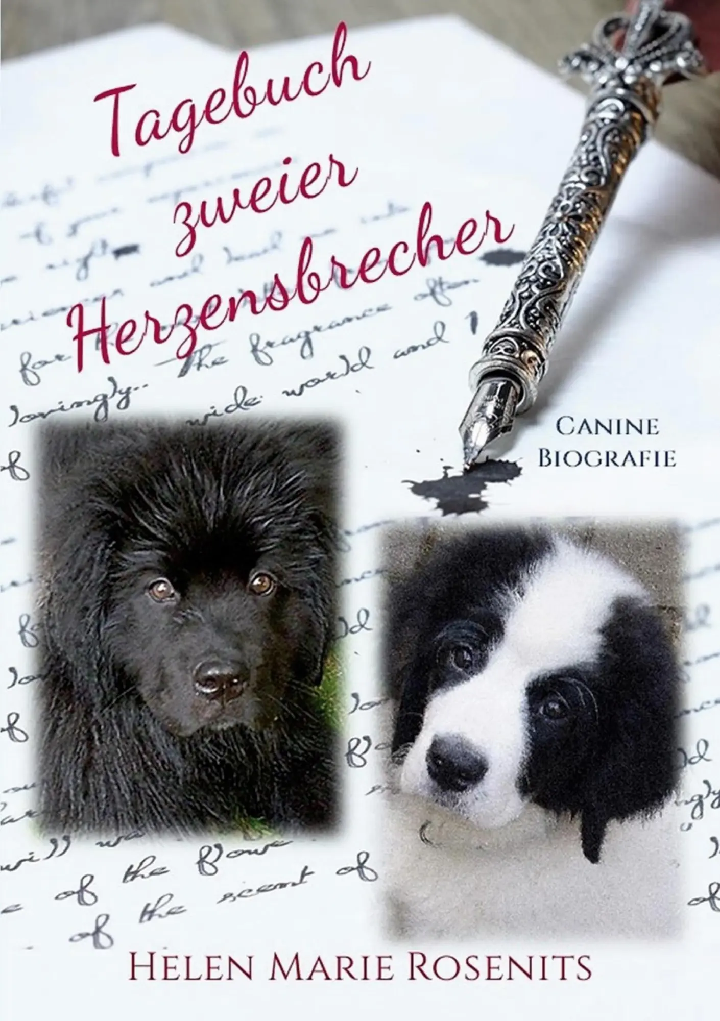 Cover: 9783758305252 | Tagebuch zweier Herzensbrecher | Helen Marie Rosenits | Taschenbuch