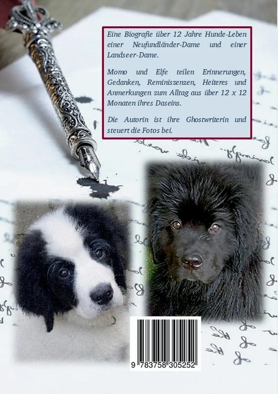Rückseite: 9783758305252 | Tagebuch zweier Herzensbrecher | Helen Marie Rosenits | Taschenbuch