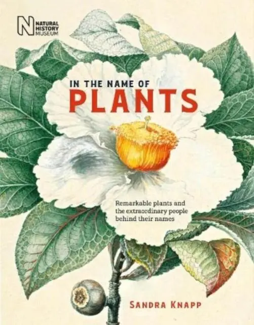 Cover: 9780565095352 | In the Name of Plants | Sandra Knapp | Buch | Gebunden | Englisch