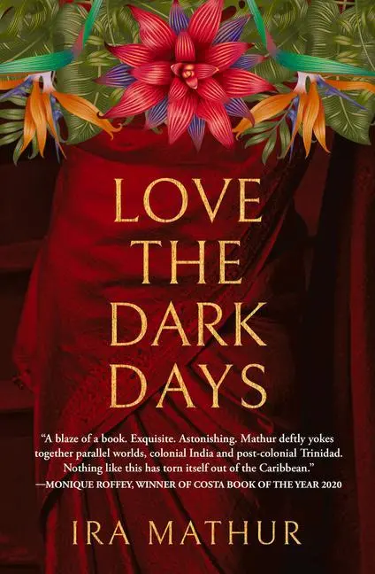 Cover: 9781845235352 | Love the Dark Days | Ira Mathur | Taschenbuch | Englisch | 2022