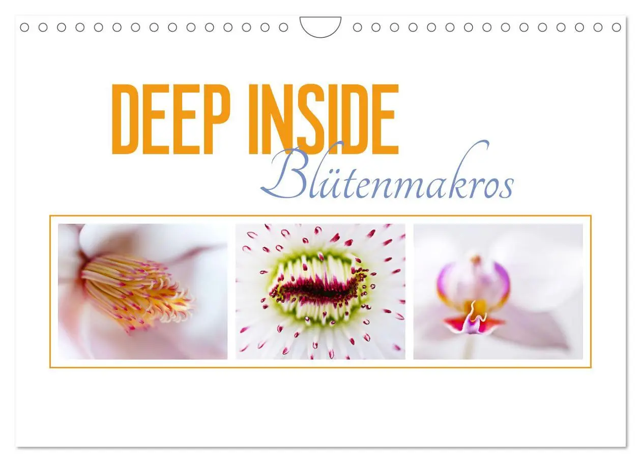 Cover: 9783457645352 | DEEP INSIDE - Blütenmakros (Wandkalender 2026 DIN A4 quer),...