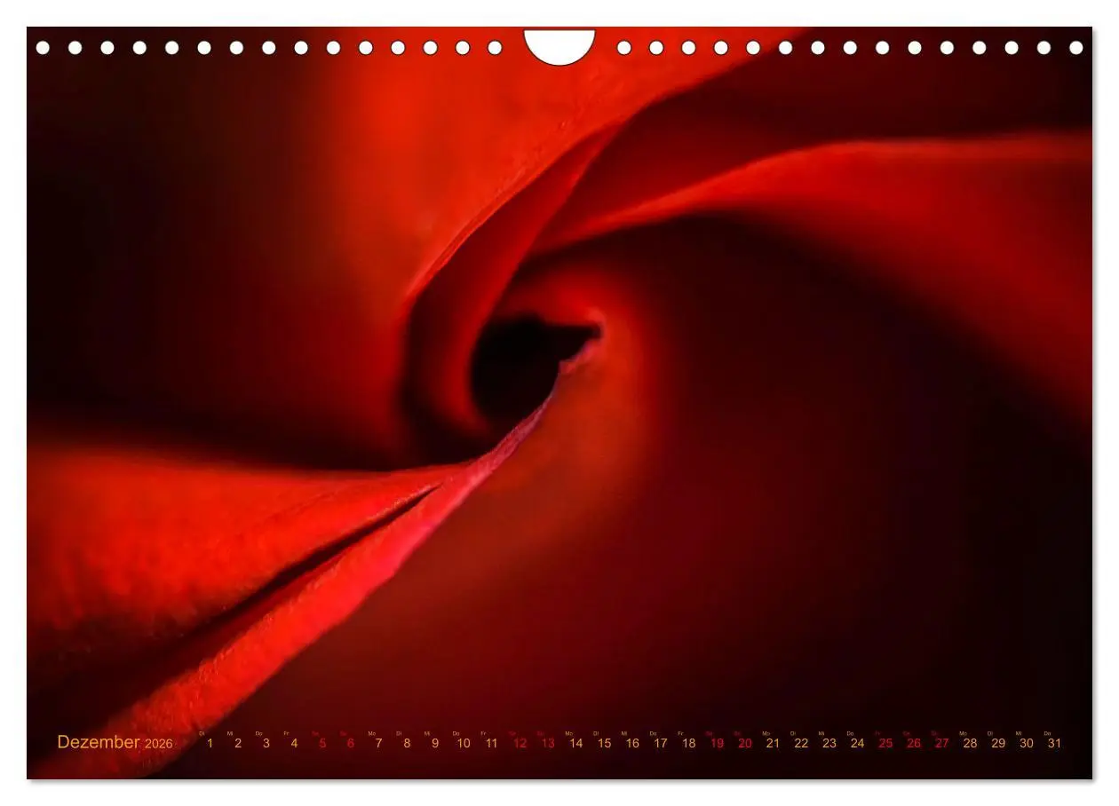 Bild: 9783457645352 | DEEP INSIDE - Blütenmakros (Wandkalender 2026 DIN A4 quer),...