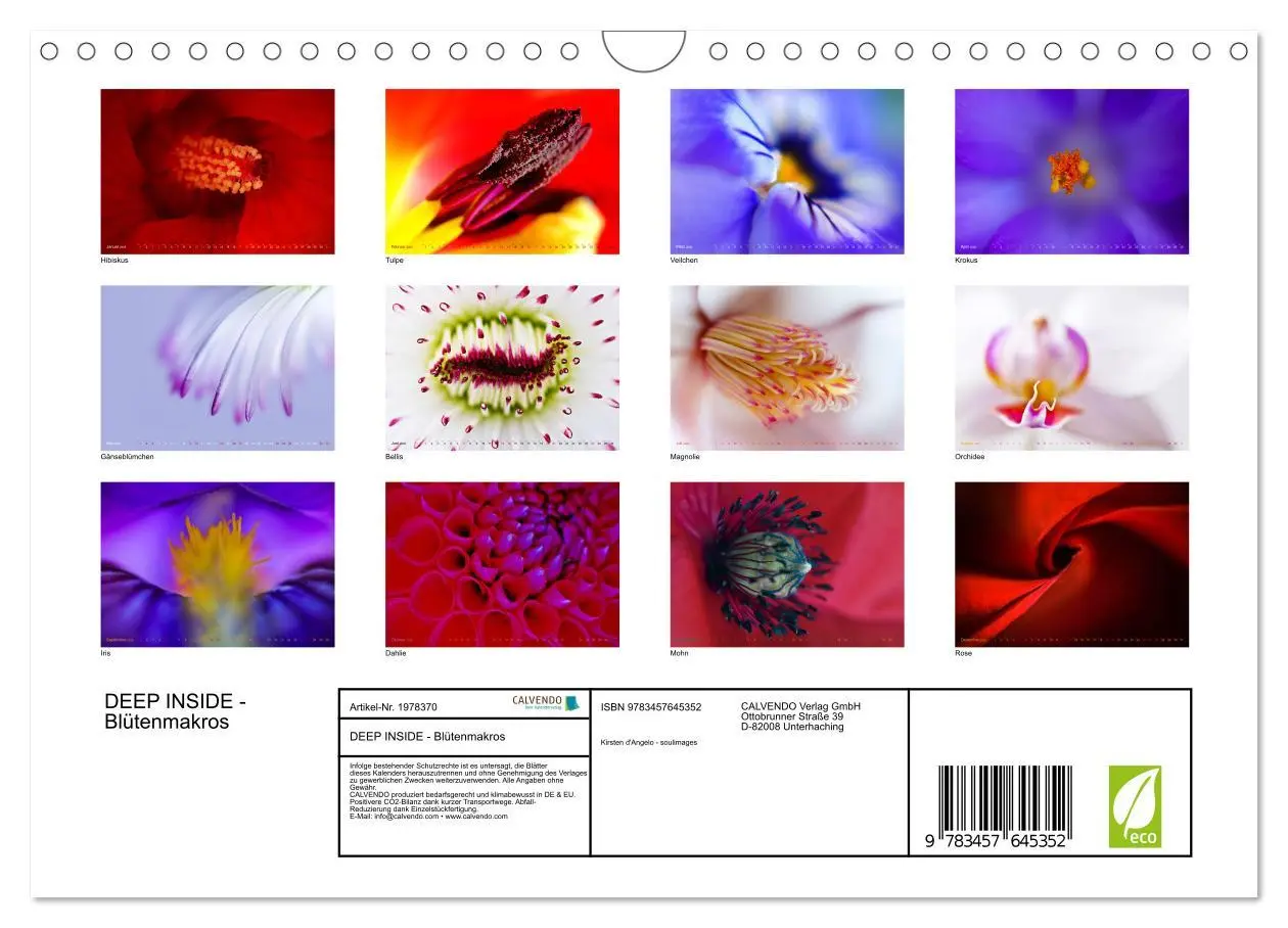 Bild: 9783457645352 | DEEP INSIDE - Blütenmakros (Wandkalender 2026 DIN A4 quer),...