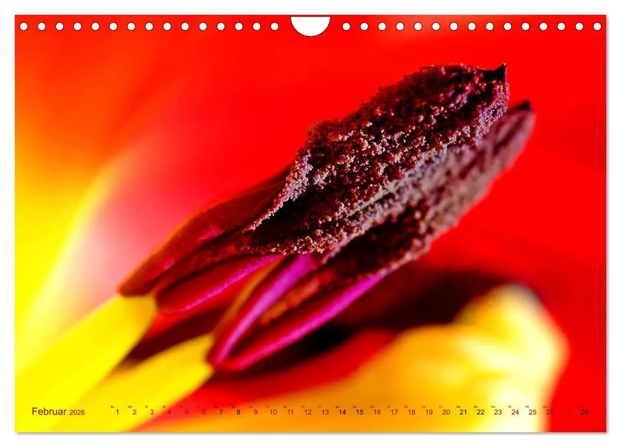 Bild: 9783457645352 | DEEP INSIDE - Blütenmakros (Wandkalender 2026 DIN A4 quer),...
