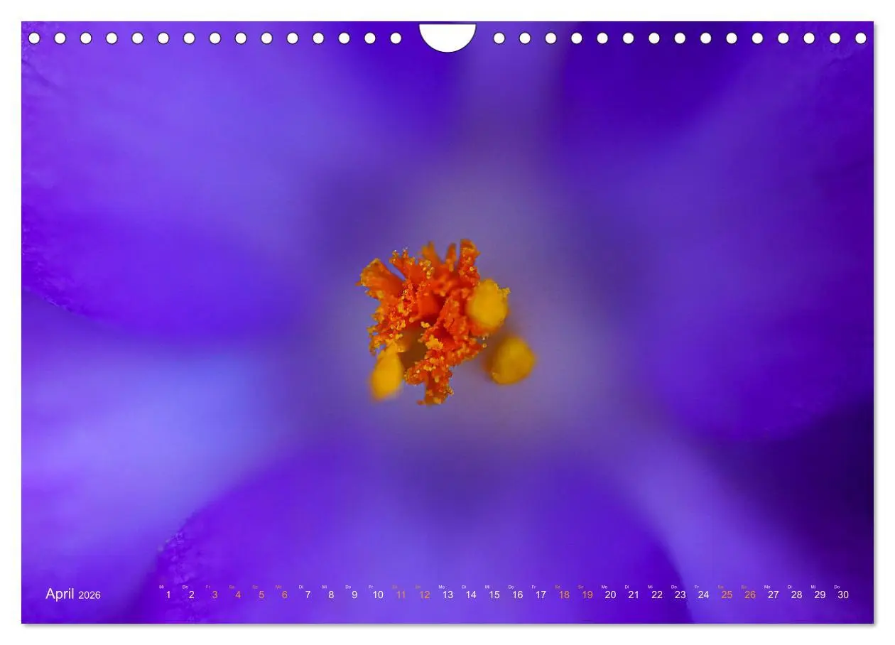 Bild: 9783457645352 | DEEP INSIDE - Blütenmakros (Wandkalender 2026 DIN A4 quer),...