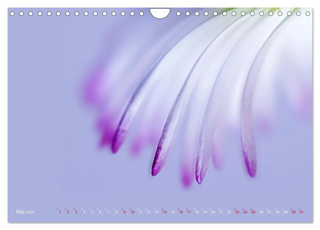 Bild: 9783457645352 | DEEP INSIDE - Blütenmakros (Wandkalender 2026 DIN A4 quer),...