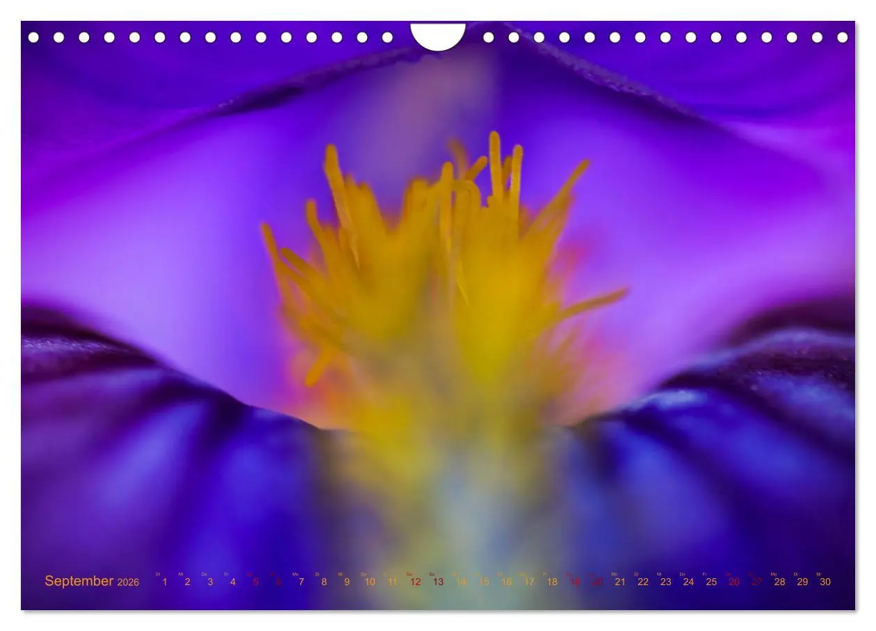 Bild: 9783457645352 | DEEP INSIDE - Blütenmakros (Wandkalender 2026 DIN A4 quer),...