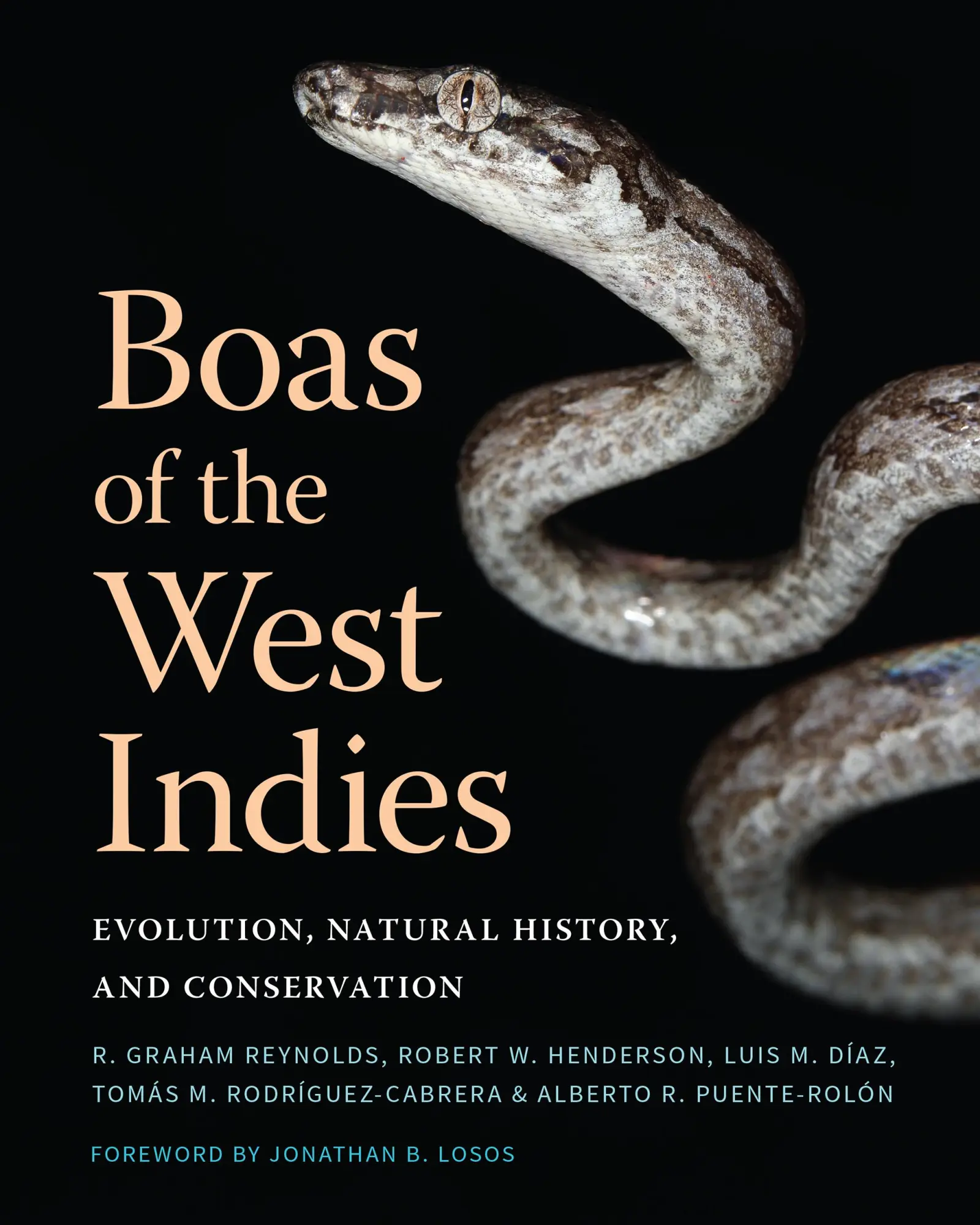 Cover: 9781501765452 | Boas of the West Indies | Evolution, Natural History, and Conservation