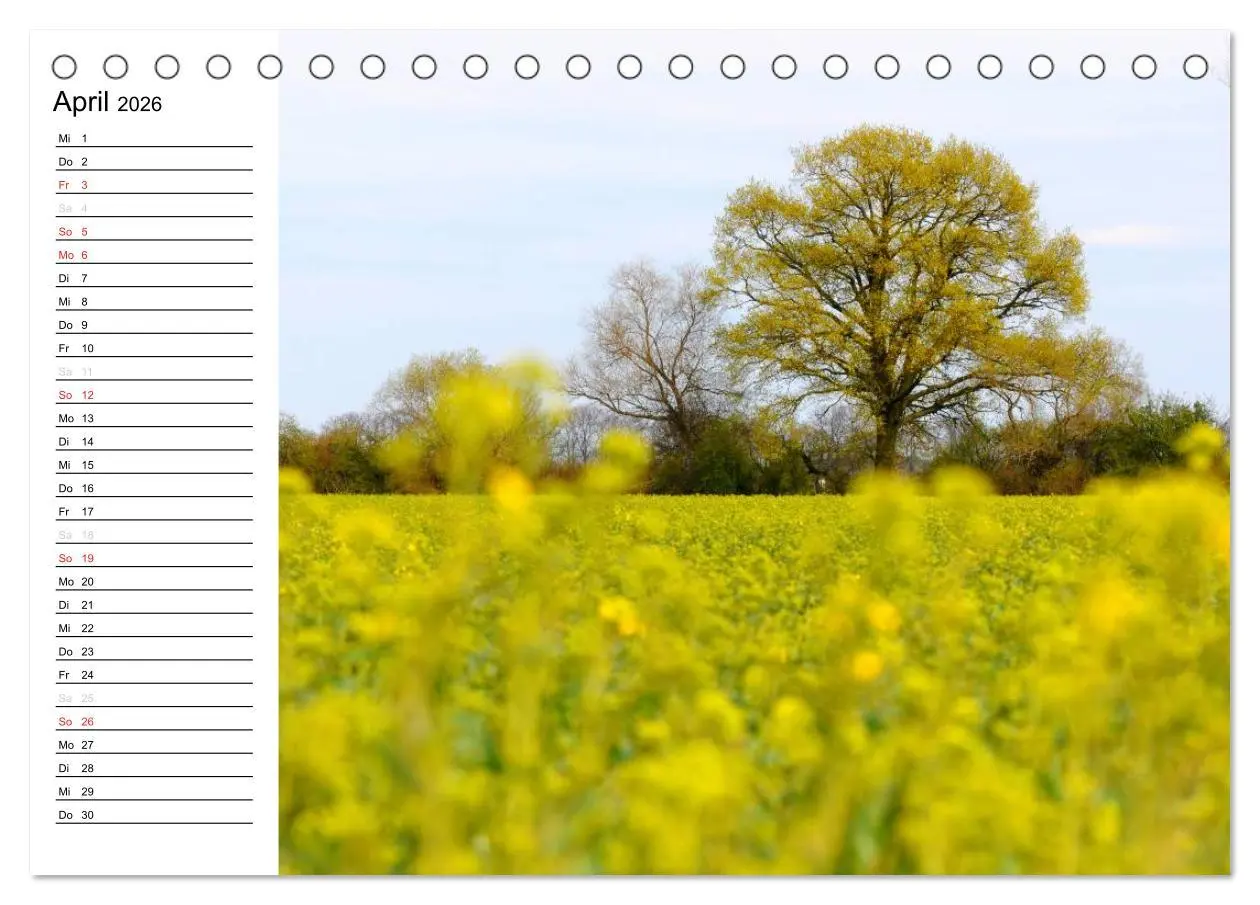 Bild: 9783457255452 | Die Jahreszeiten im Havelland (Tischkalender 2026 DIN A5 quer),...