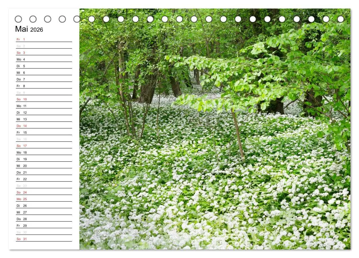Bild: 9783457255452 | Die Jahreszeiten im Havelland (Tischkalender 2026 DIN A5 quer),...