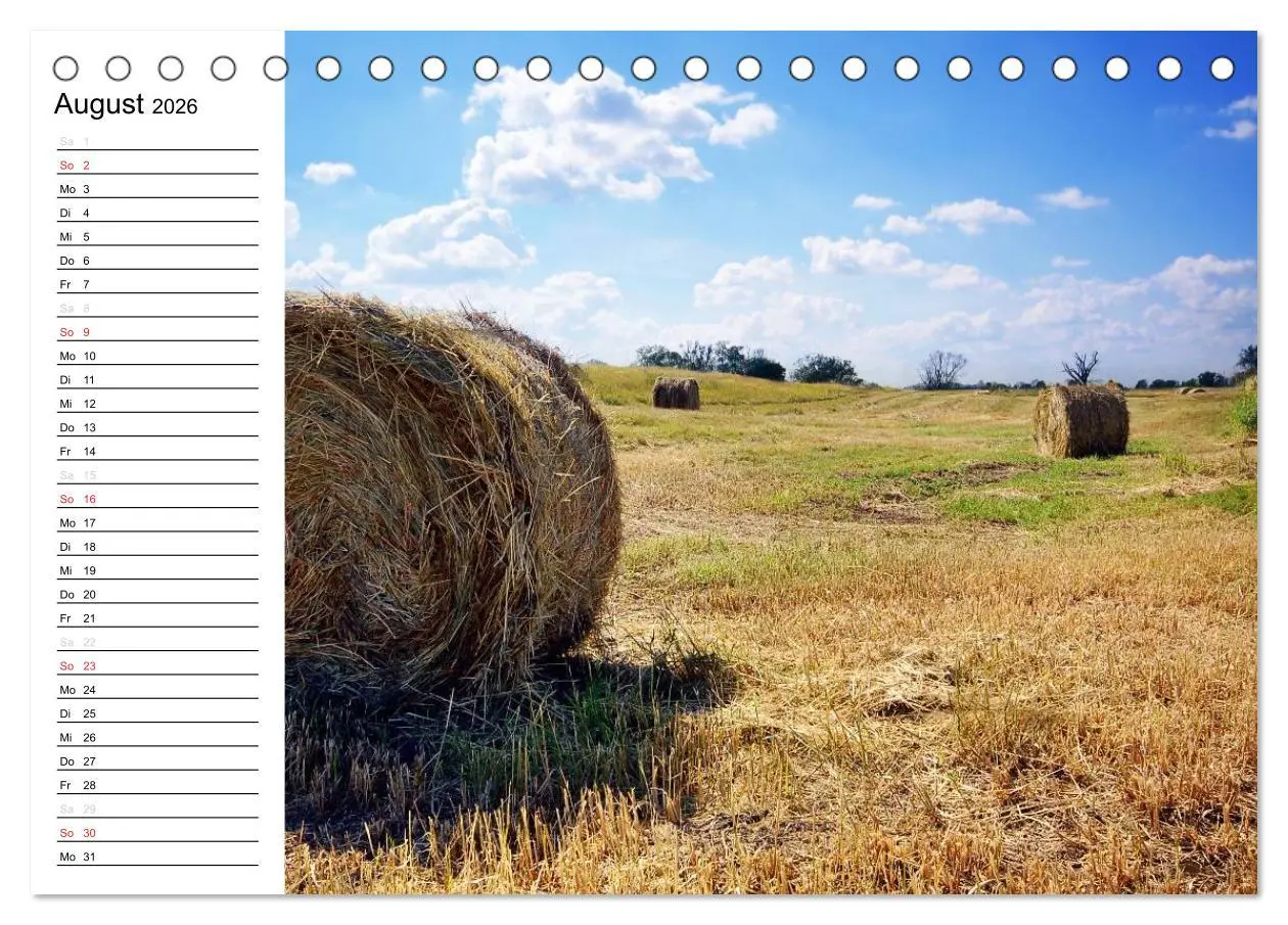 Bild: 9783457255452 | Die Jahreszeiten im Havelland (Tischkalender 2026 DIN A5 quer),...