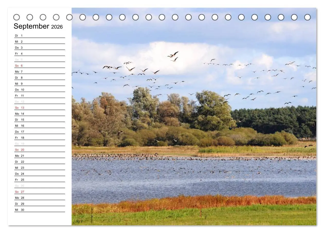 Bild: 9783457255452 | Die Jahreszeiten im Havelland (Tischkalender 2026 DIN A5 quer),...