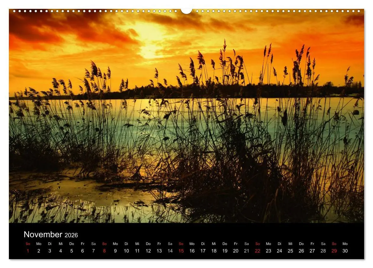 Bild: 9783516105452 | Die vier Jahreszeiten (Wandkalender 2026 DIN A2 quer), CALVENDO...